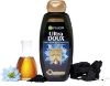 Picture of Garnier Ultra Doux Black Charcoal & Nigella Seed Oil Purifying & Shine Shampoo 400 ml