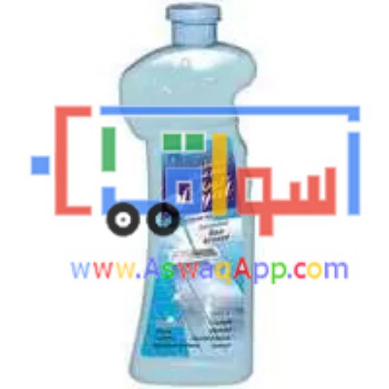 Picture of Loyal Multipurpose Cleaner sea breeze 700 Ml