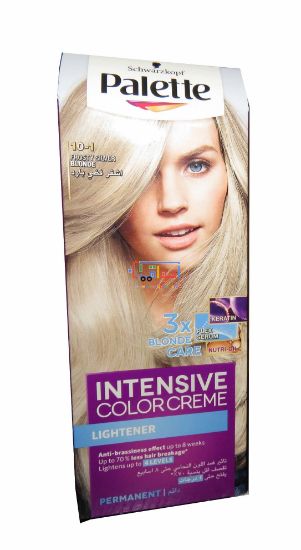 Picture of Schwarzkopf Palette Intensive Color Cream 10-1 Frosty Silver BLONDE
